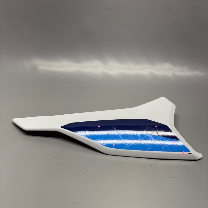 BMW S1000 R REAR SIDE PANEL RIGHT 2020 2021 2022 2023 2024 2025 OEM