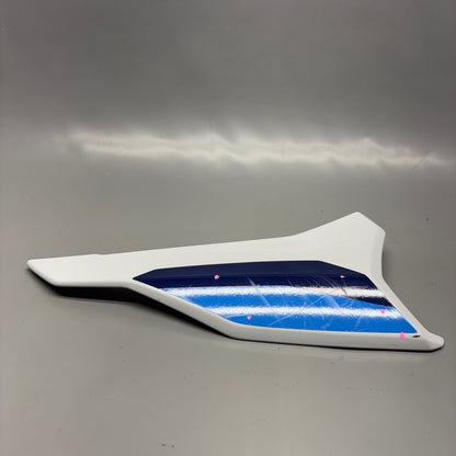 BMW S1000 R REAR SIDE PANEL RIGHT 2020 2021 2022 2023 2024 2025 OEM