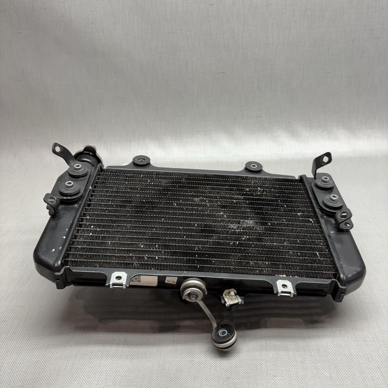 8555494 BMW G 310R RADIATOR WITH FAN 2016 2017 2018 2019 2020 OEM 8555494