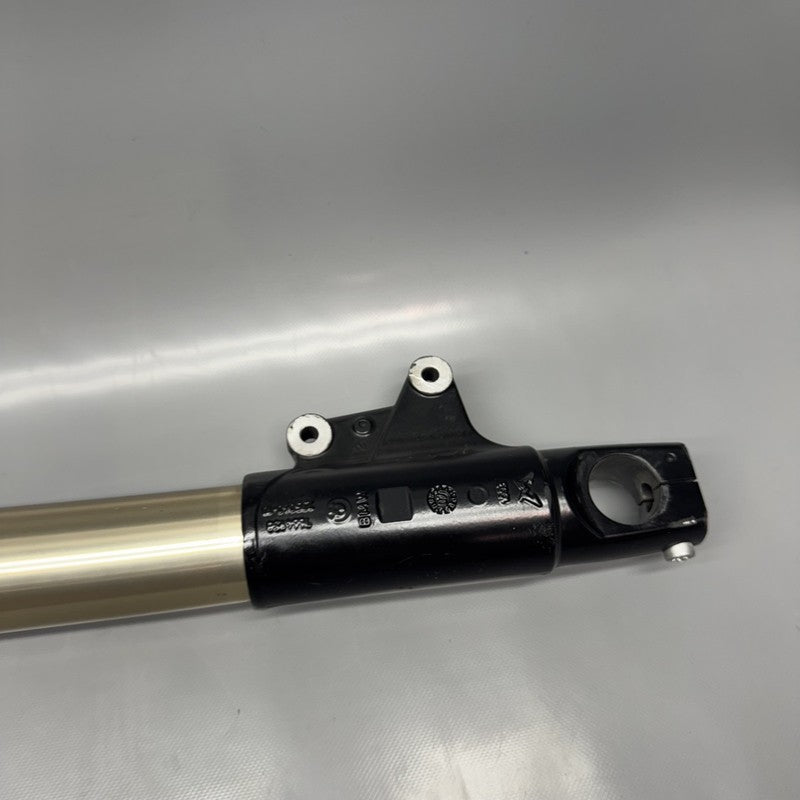 7667681 BMW R1200GS FRONT FORK SET 2009 2010 2011 2012 OEM 7664957 7664958