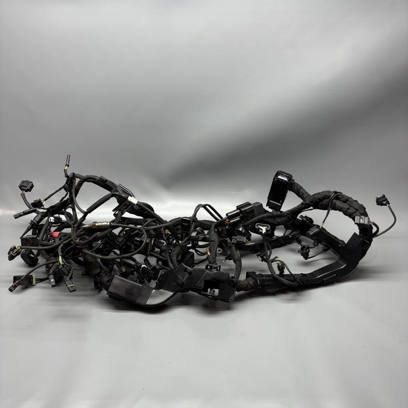 7105048 BMW M1000R MAIN WIRING HARNESS 2021 2022 2023 2024 OEM 7105048