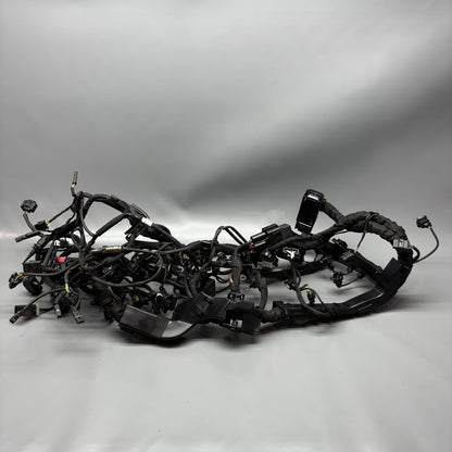 7105048 BMW M1000R MAIN WIRING HARNESS 2021 2022 2023 2024 OEM 7105048