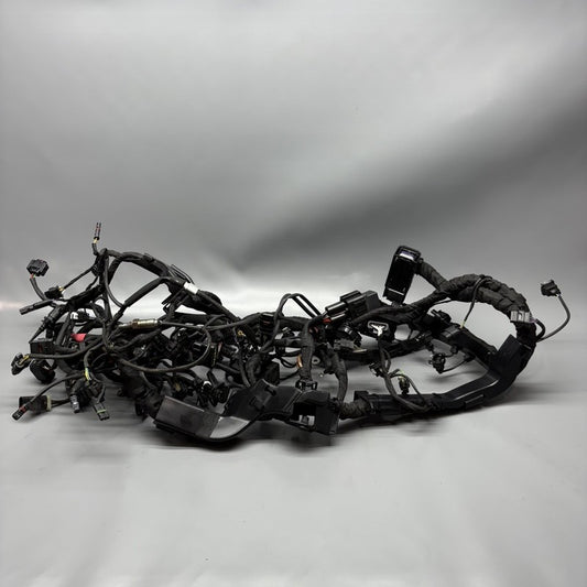 7105048 BMW M1000R MAIN WIRING HARNESS 2021 2022 2023 2024 OEM 7105048