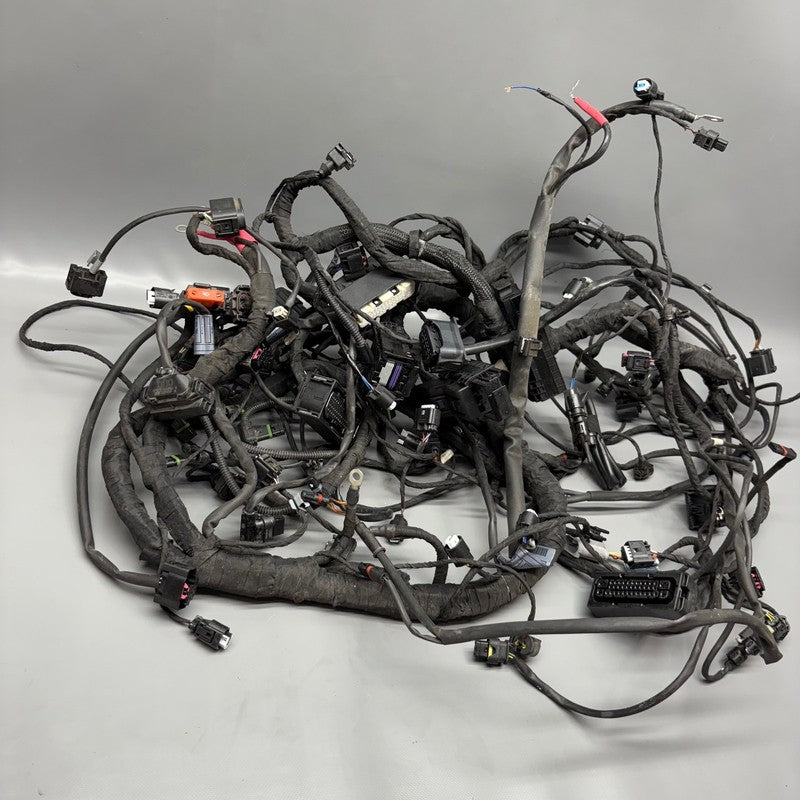 BMW K1600GTL MAIN ENGINE HARNESS 2015 2016 2017 2018 2019 2020 2021 OE