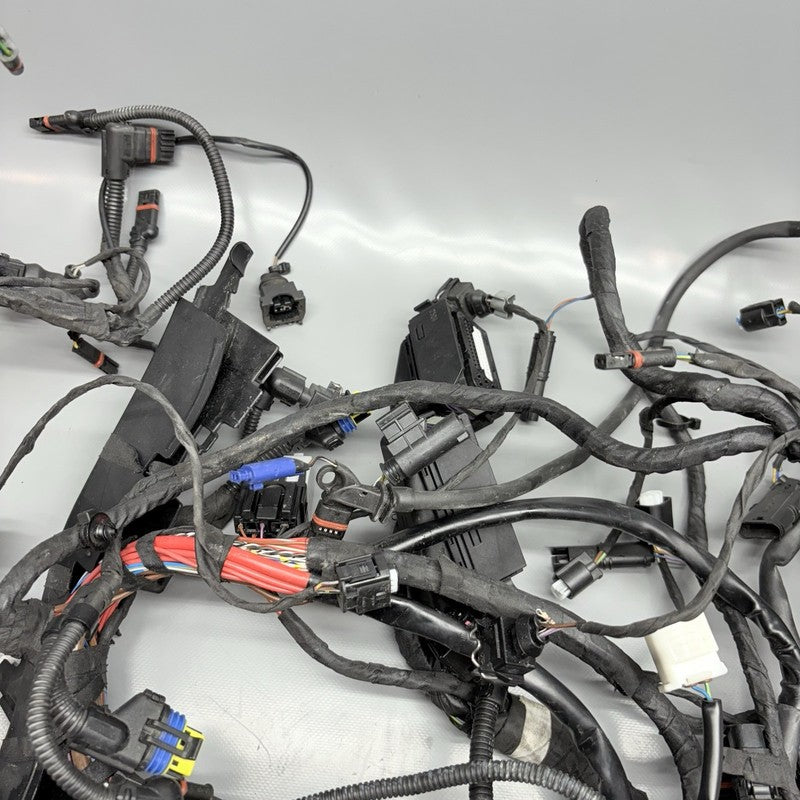 R1200GS BMW R1200GS MAIN WIRE HARNESS 2009 2010 2011 2012 2013 OEM  