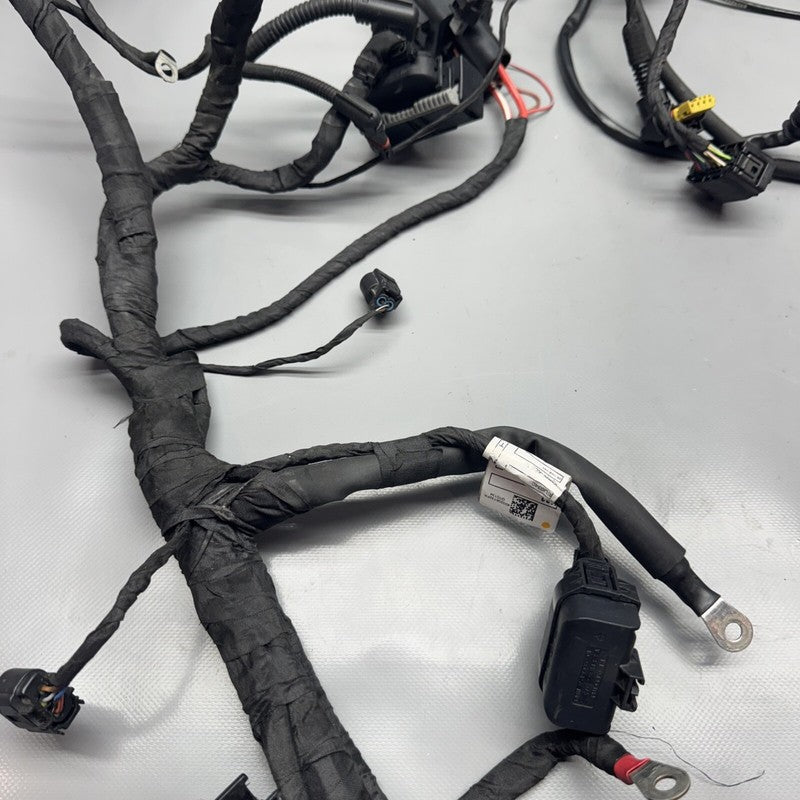 1692821 BMW F900R MAIN ENGINE HARNESS 2020 2021 2022 2023 2024 OEM 1692821