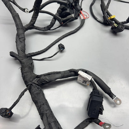 1692821 BMW F900R MAIN ENGINE HARNESS 2020 2021 2022 2023 2024 OEM 1692821