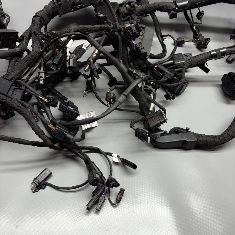 7105048 BMW M1000R MAIN WIRING HARNESS 2021 2022 2023 2024 OEM 7105048