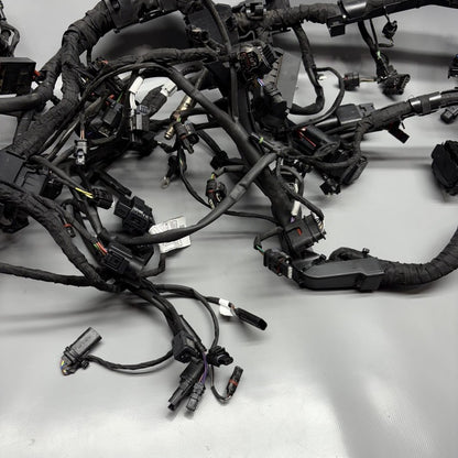 7105048 BMW M1000R MAIN WIRING HARNESS 2021 2022 2023 2024 OEM 7105048