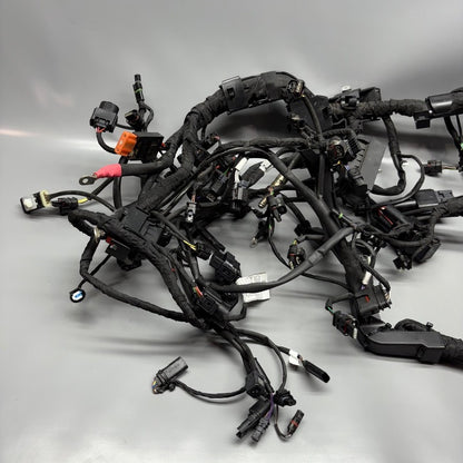 BMW M1000R MAIN WIRING HARNESS 2021 2022 2023 2024 OEM 7105048