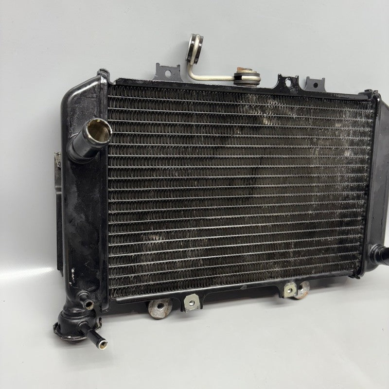 8558350 BMW G310GS RADIATOR 2016 2017 2018 2019 2020 OEM 8558350