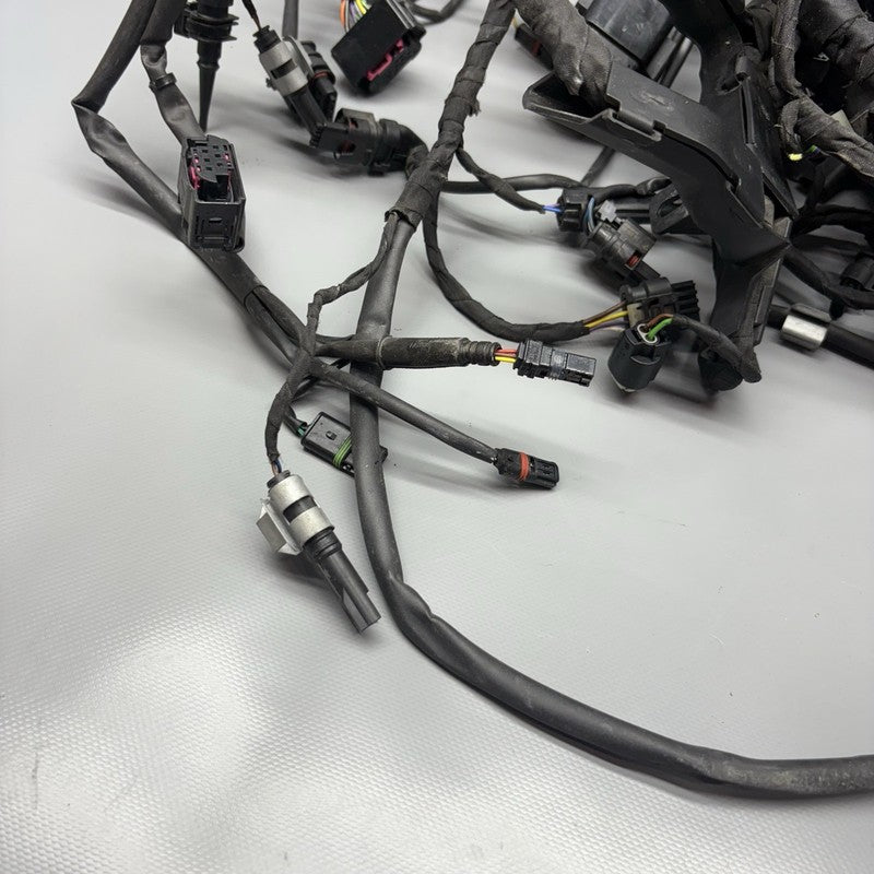 S1000R BMW S1000R MAIN ENGINE HARNESS 2020 2021 2022 2023 2024 2025 OEM 